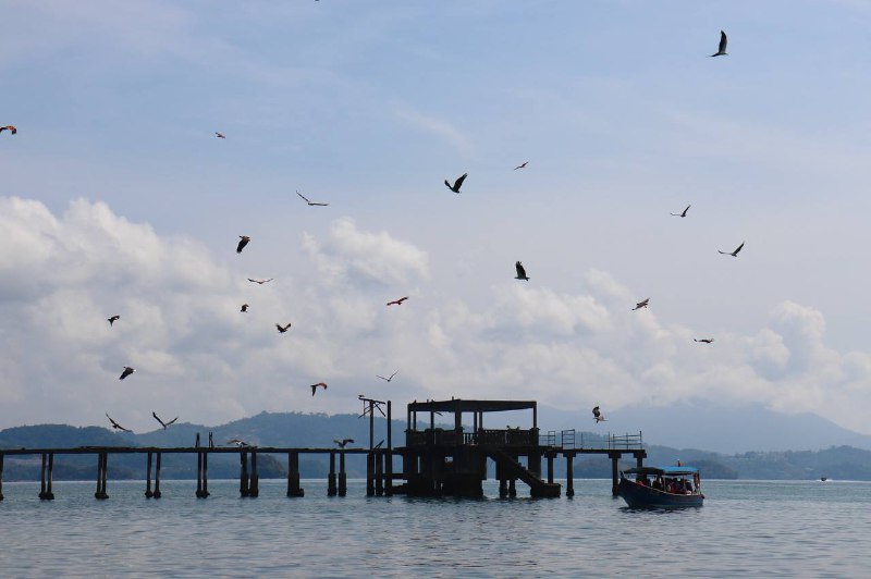 #traveling #MalaysiaDay 4 - 兰卡威（Langkawi）🏝出海跳岛游：🦀拍寄居蟹🎣钓石斑鱼🦅看鹰击长空🚤坐飞驰快艇，⛰登高一览众岛小